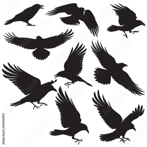 A collection Of elegant raven silhouette illustration in various dynamic poses, perfect for wildlife themed design, background, stickers, Clipart, nature inspired projects etc