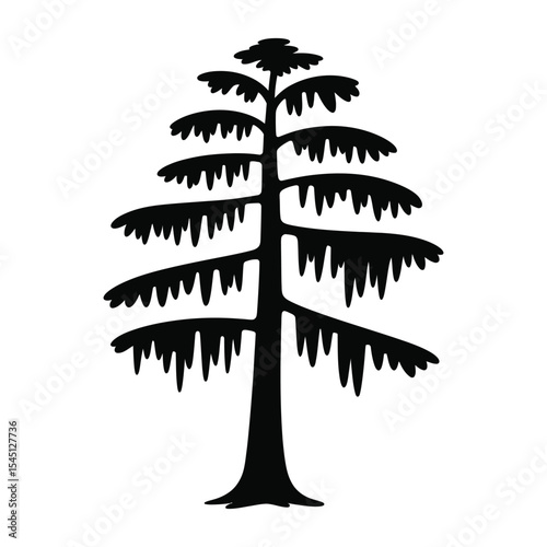 A black silhouette of a tall evergreen tree against a white background