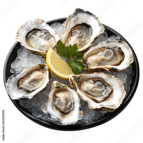 Freshly shucked oysters on ice garnished with lemon and parsley cutout PNG