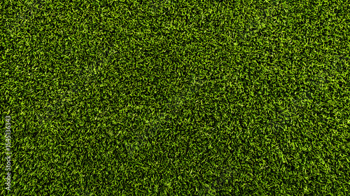 Lush Green Grass Texture Background Vibrant Green Turf