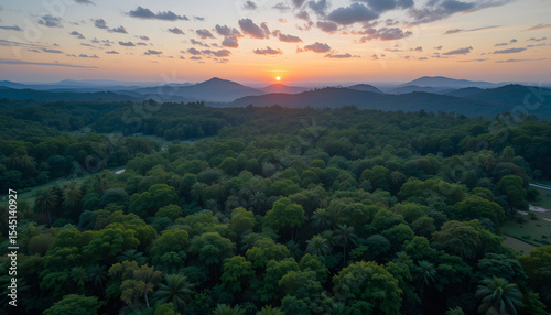 Title: Sunset Over Lush Forest and Distant Mountain Ranges, Concept of Natural Grandeur, Tranquil Wilderness, and Layered Landscape Beauty