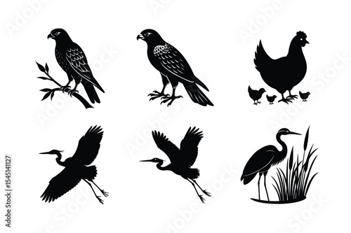 Selection of perched birds in black style Silhouette Vector illustration