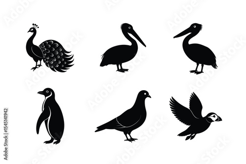 Stylized collection of birds in motion art Silhouette Vector illustration