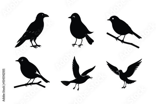 Silhouettes of birds with open wing styles Silhouette Vector illustration