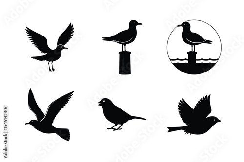 Bird pack design featuring elegant poses Silhouette Vector illustration