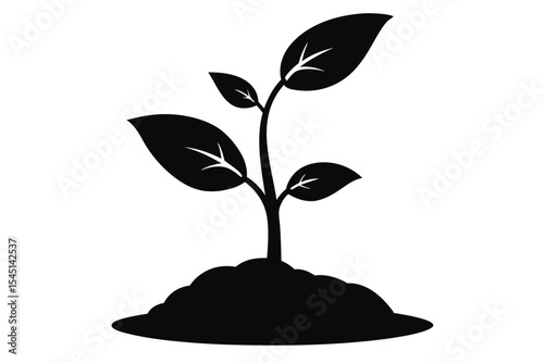 Silhouette of Seedling Growing from Soil Mound with Four Visible Leaves