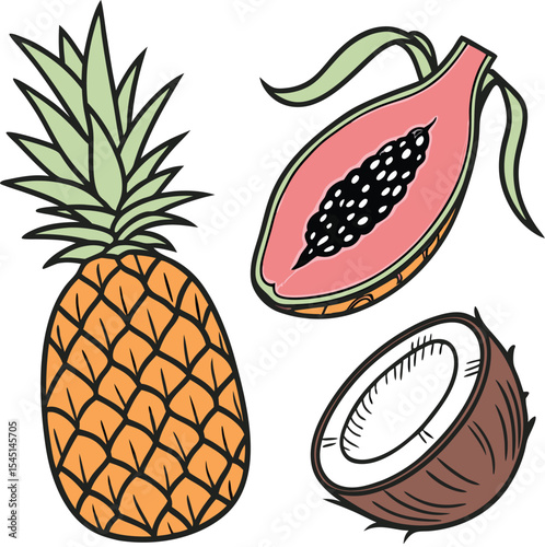 Tropical fruits illustration pineapple papaya coconut