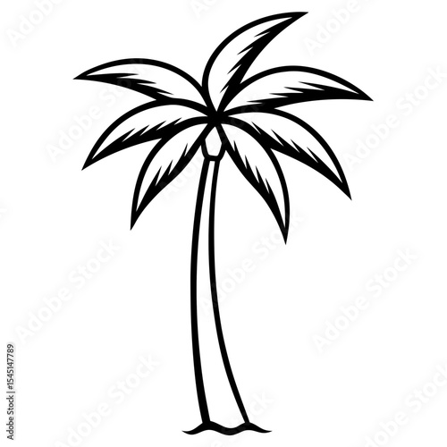 palm tree vector