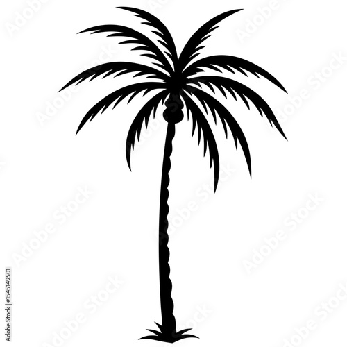 silhouette of palm tree