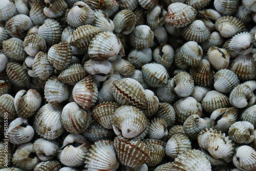  Pile of cockles, background top view image.