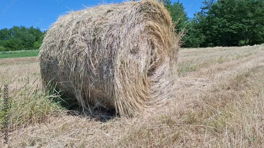 Video of hay bale in the field, during the summer, in Maramures county, Romania. 4K Video of hay bale in the field, during the summer, in Maramures county, Romania. 4K