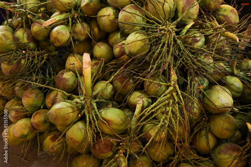 Large collection of green coconuts with large quantity.