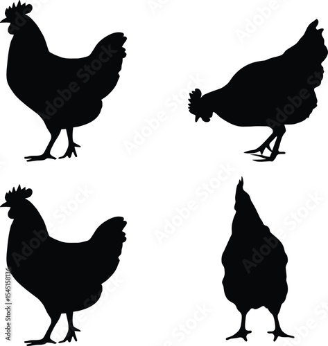 A collection of silhouettes featuring chickens in various poses. This design is perfect for farm-themed projects, culinary artwork.