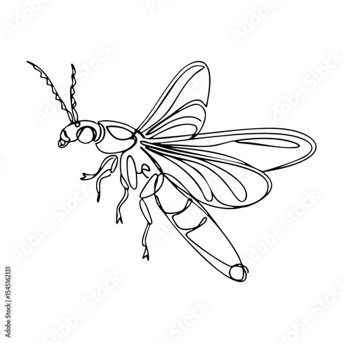 Line art of a flying insect with large transparent wings and curled antennae, stylized entomology illustration