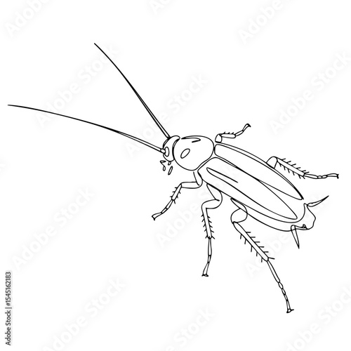 Vector line art of a cockroach in dynamic pose, long antennae and textured legs in black outline style