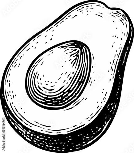 Hand-drawn avocado fruit illustration in vintage engraving style, ideal for vegan food packaging and healthy lifestyle concepts