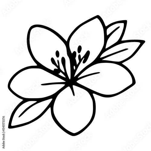 Simple Flower Outline illustration