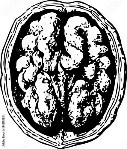 Black and white hand-drawn walnut with intricate shell texture, illustrated in engraving style, ideal for botanical, organic food, and educational design themes