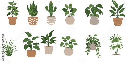 Assorted Houseplant Illustrations Featuring Indoor Plants and Decorative Pots for Home Design