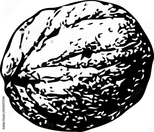 Black and white hand-drawn walnut with intricate shell texture, illustrated in engraving style, ideal for botanical, organic food, and educational design themes