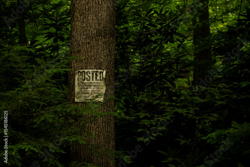 Posted Sign On The Edge OF Dark Forest With Copy Space To The Right