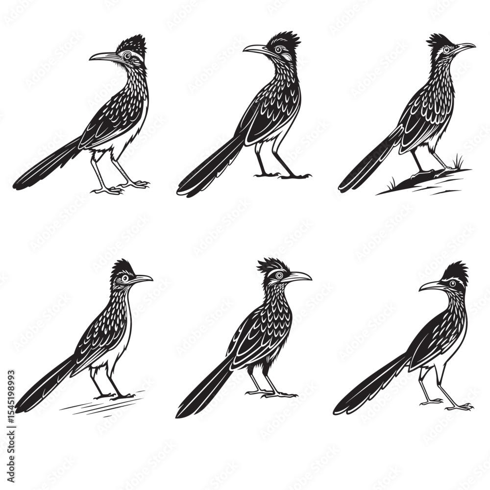 Fototapeta premium Halloween Black roadrunner bird Printable Graphic