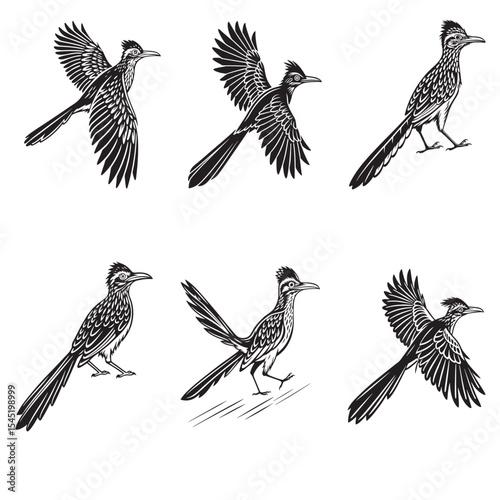 Black roadrunner bird Silhouette Vector Design