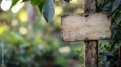 A weathered wooden sign with a faded message hanging from a tree branch in a lush green forest setting.