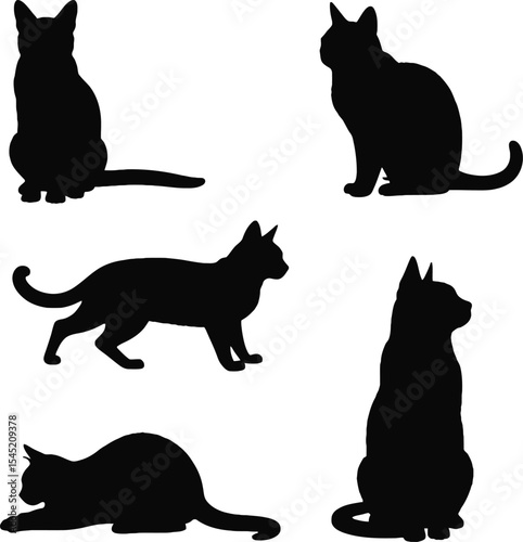 Chartreux Cat Outline Silhouette Design