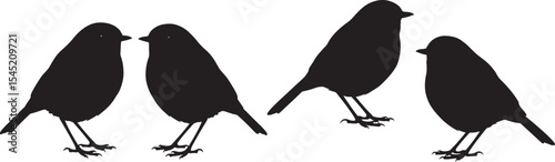 Robin bird with puffed chest vector illustration