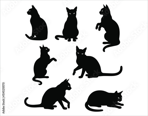 Chartreux Cat Rear View Silhouette Vector