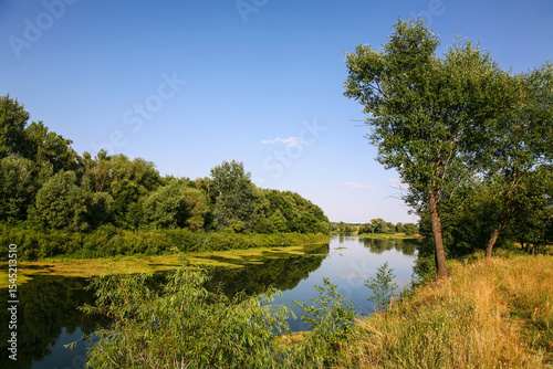 The Khoper River in the Voronezh region on a summer day, a left tributary of the Don. Russia