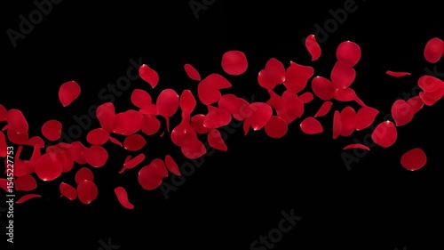 Elegant falling red rose petals on black background perfect for romantic themes
