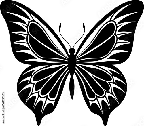 Beautiful butterfly vector illustration depicting symmetry with detailed wing patterns in striking black and white design