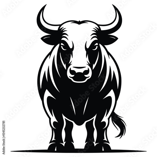 black and white cow