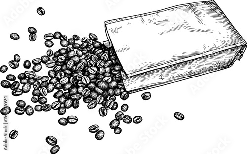 Coffee beans spilled from the bag ink sketch.