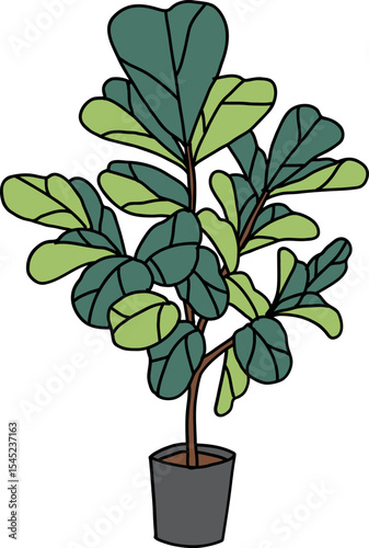 Fiddle Leaf Fig Plant in Pot: A healthy fiddle leaf fig, celebrated for its large, vibrant leaves, sits contentedly in a stylish, contemporary pot. a visual representation of nature