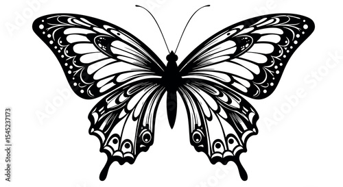 Intricate black and white butterfly design for art projects and decor