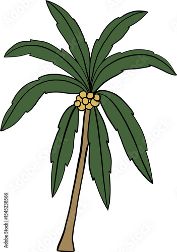 Tropical Coconut Tree: a vector graphic of a stylized coconut tree with lush green leaves and cluster of coconuts