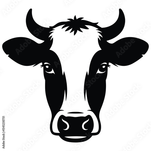 black and white cow