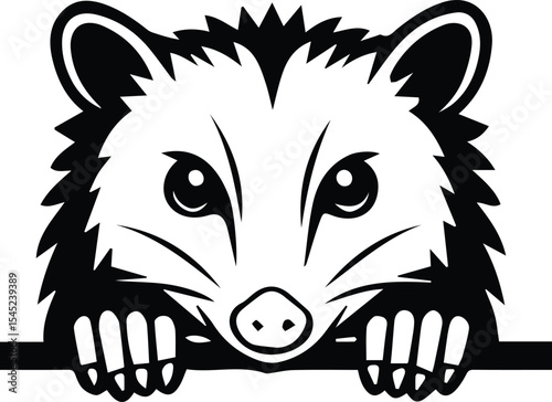 Possum peeking - hedgehog peeking design isolated on transparent background