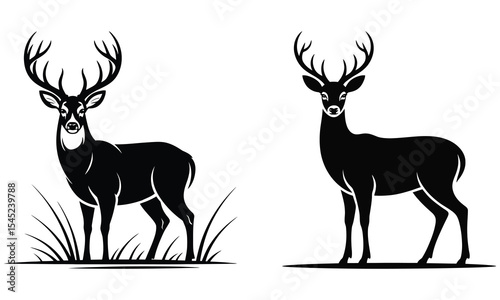 silhouette of deer