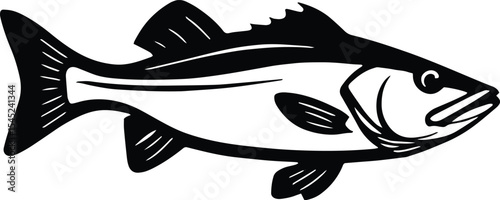 Snook fish design - Fish isolated on transparent background