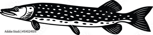 Northern Pike fish design isolated on transparent background