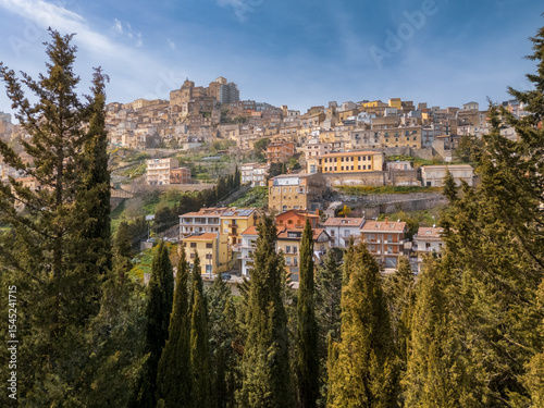 Old town big castle and cathedral on hilltop framed by fir trees on sunny day, Troina, Sicily, Italy