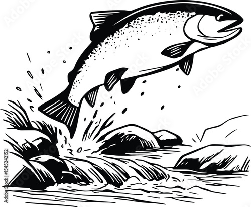 Trout fish jumping - Salmon jumping out of water design isolated on transparent background