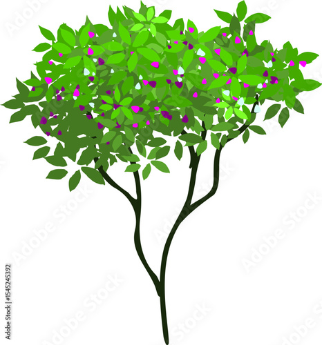 Blooming Botanical Beauty: This illustration showcases a vibrant tree in full bloom, with lush green foliage and delicate purple blossoms. Evoking feelings of springtime and natural beauty. 