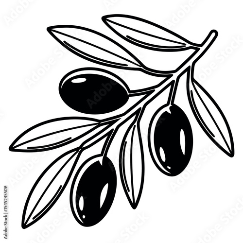 Hand drawn doodle style olive branch with four olives illustration