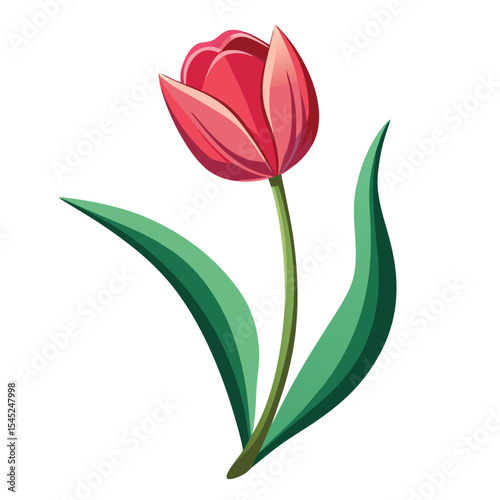 Tulip flower vector art illustration