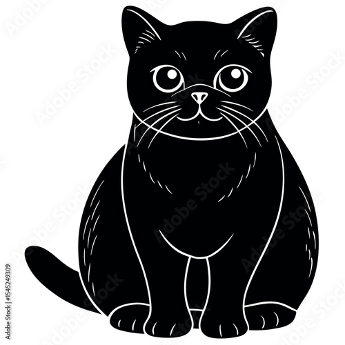 Calm exotic shorthair cat illustration